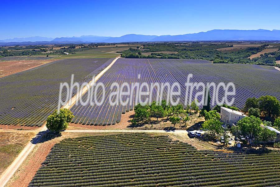 04plateau-valensole-8-0717