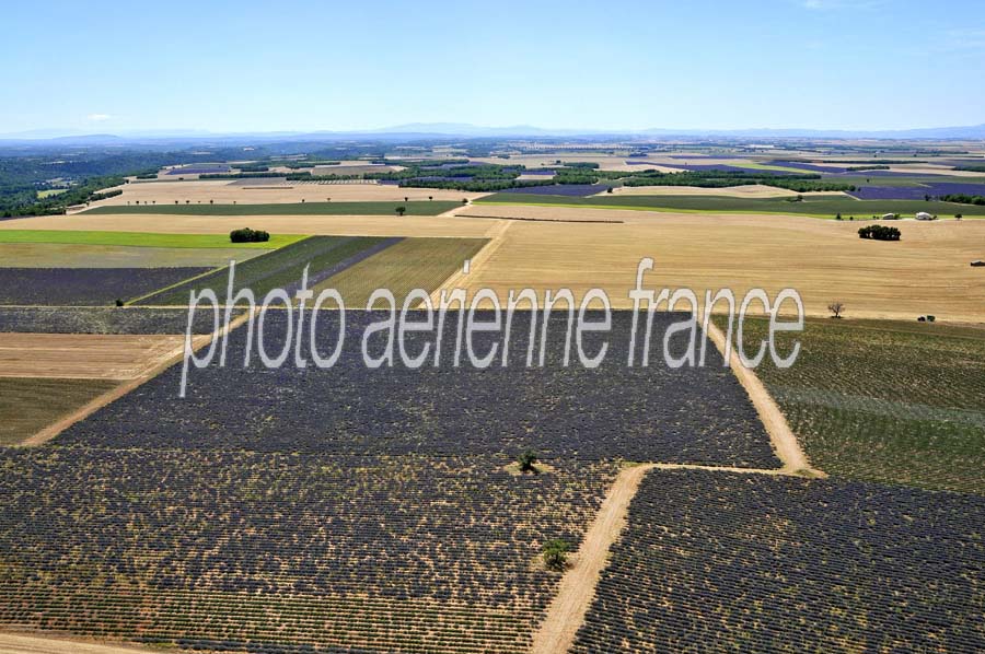 04plateau-valensole-8-0810