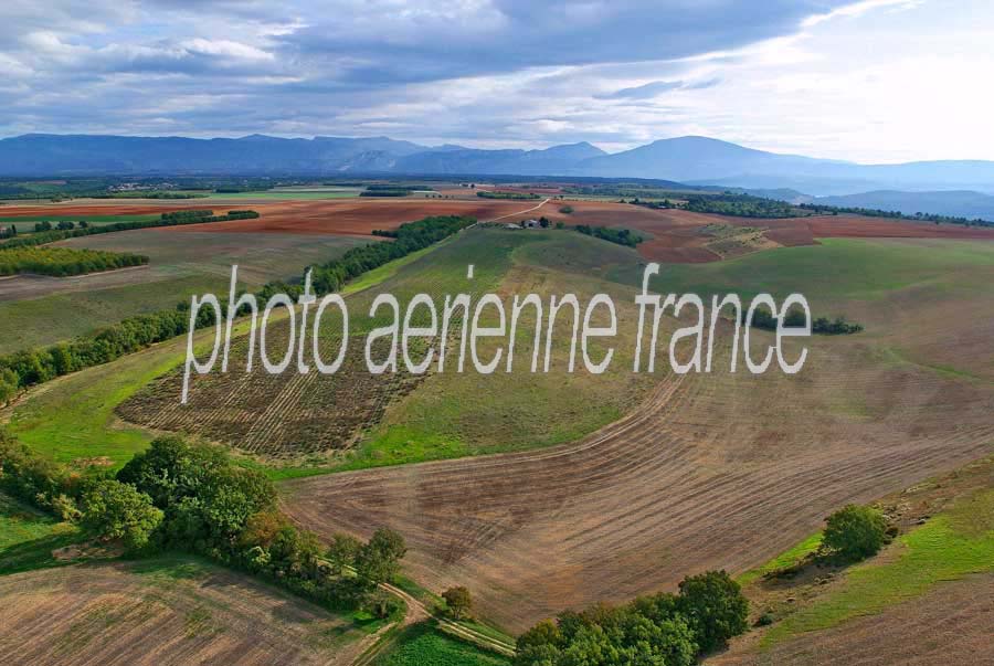 04plateau-valensole-9-1005