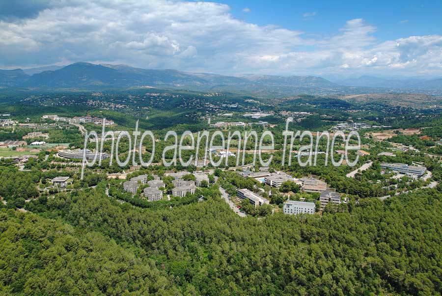 06sophia-antipolis-8-0704