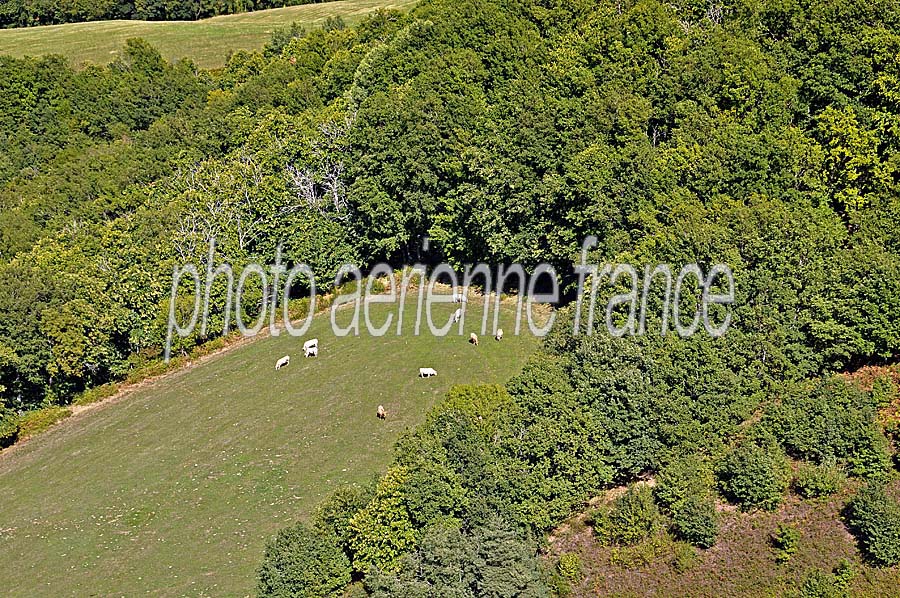 12agriculture-aveyron-12-0909