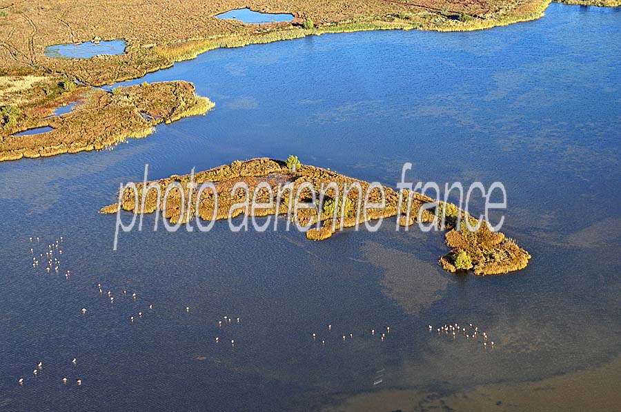 13etang-du-grand-palun-11-1009