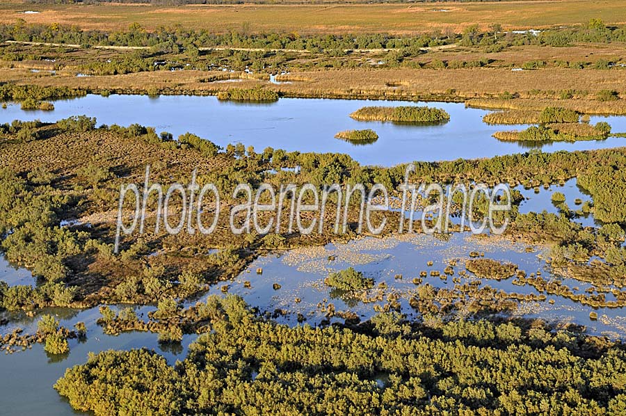 13marais-du-viguerat-1-1009