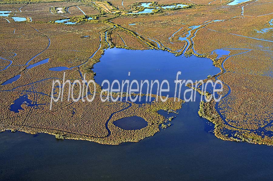 13plage-napoleon-1-1009