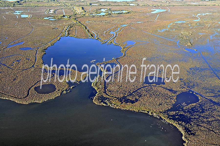 13plage-napoleon-2-1009