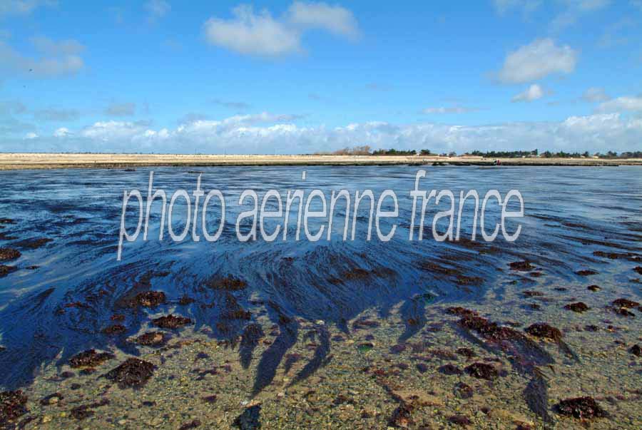 17ile-d-oleron-10-0404