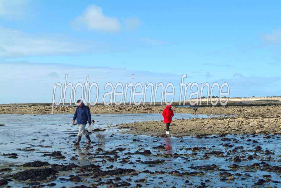 17ile-d-oleron-13-0404