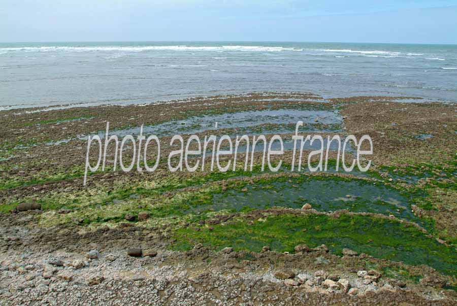 17ile-d-oleron-3-0404