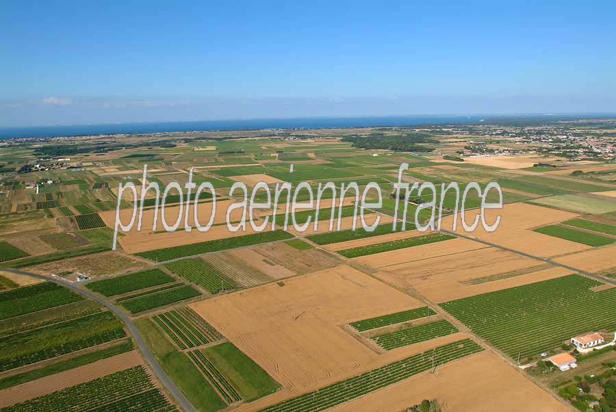 17ile-d-oleron-31-e03