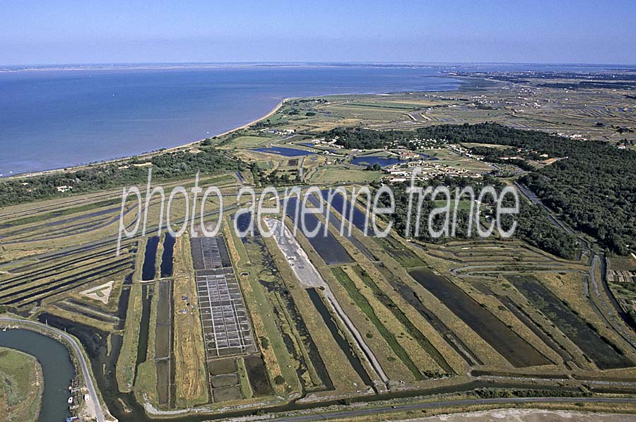 17ile-d-oleron-5-e03