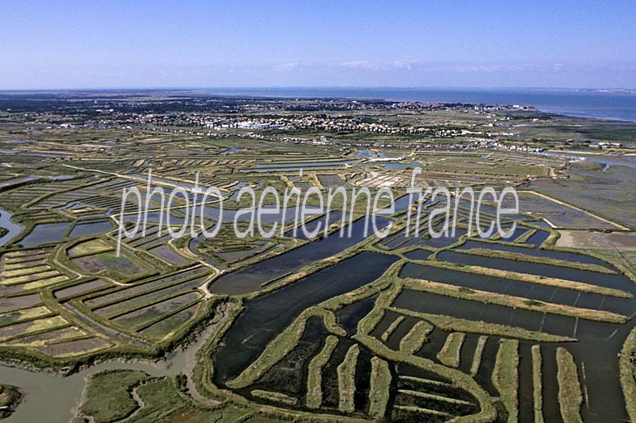 17ile-d-oleron-6-e03