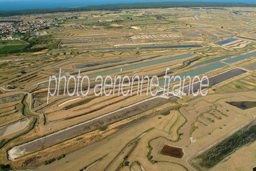 17ile-d-oleron-8-e03