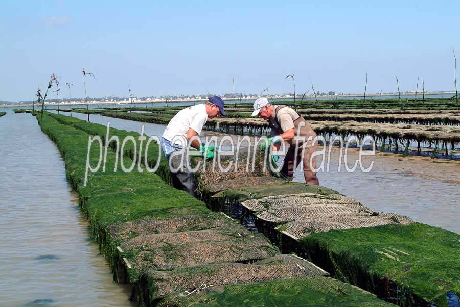 17ostreiculture-sol-26-0803