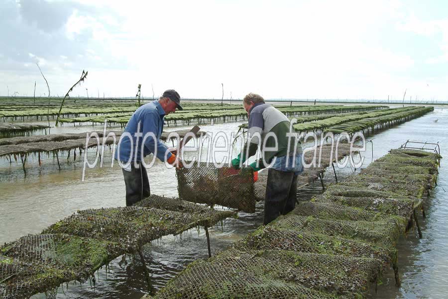 17ostreiculture-sol-48-0803