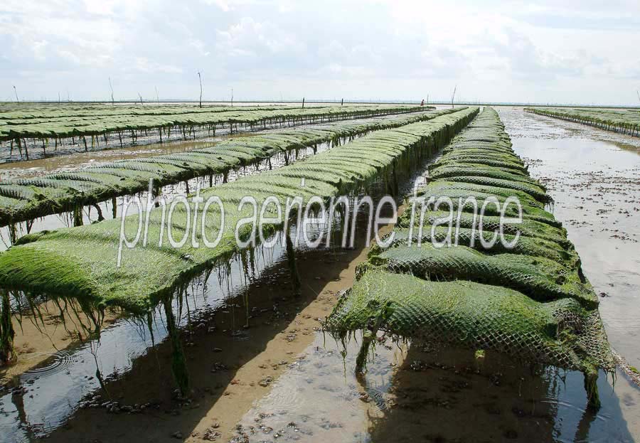 17ostreiculture-sol-51-0803