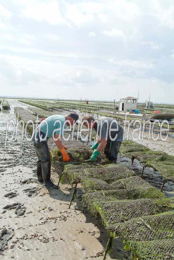 17ostreiculture-sol-56-0803