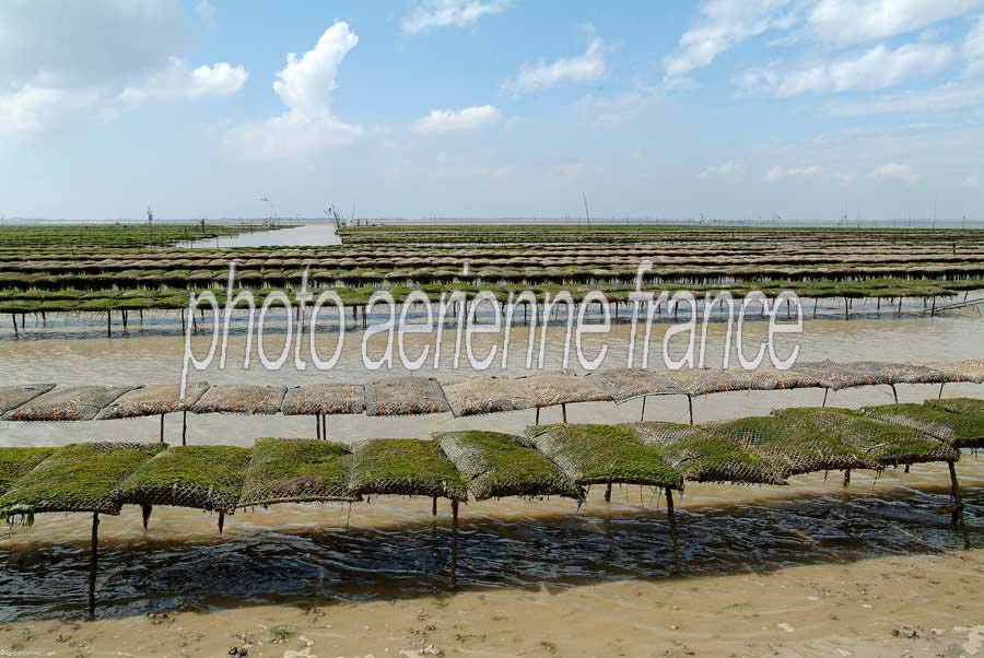 17ostreiculture-sol-59-0803