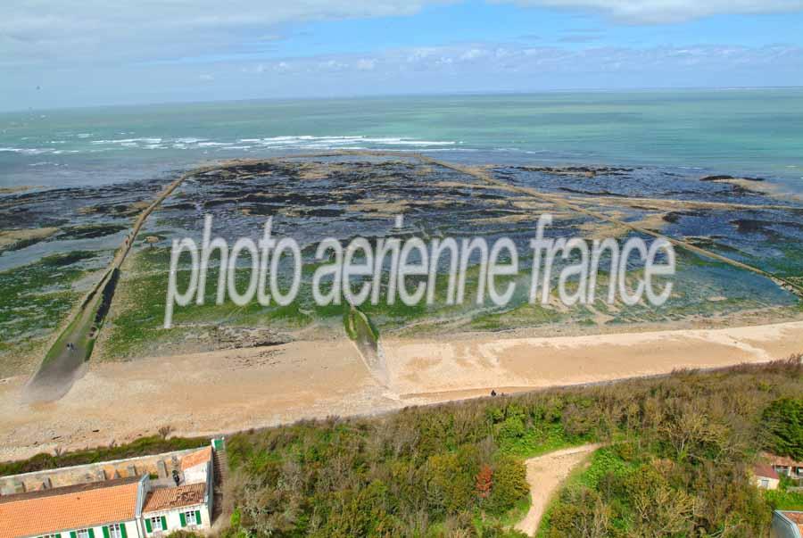 17phare-des-baleines-4-0404