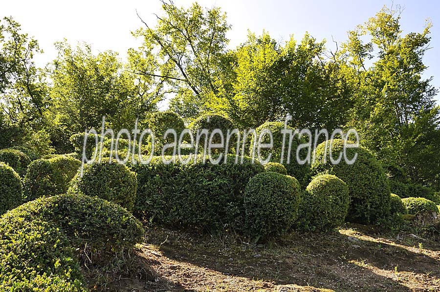 24marqueyssac-8-0809