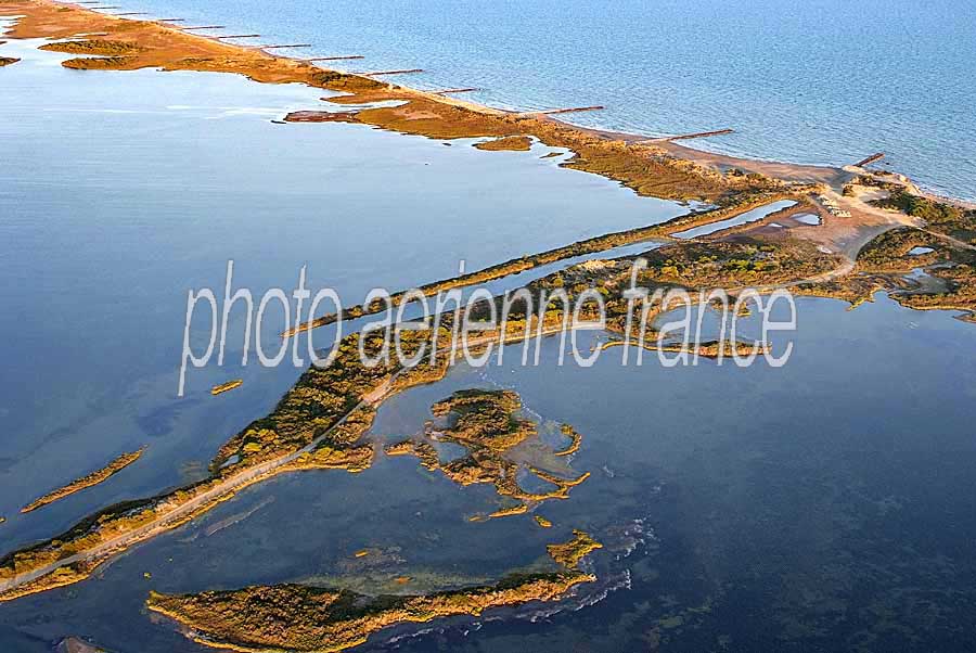 30etang-des-salants-3-0707