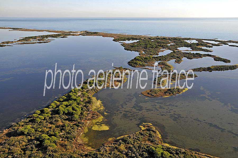 30etang-grande-gorgue-2-1009