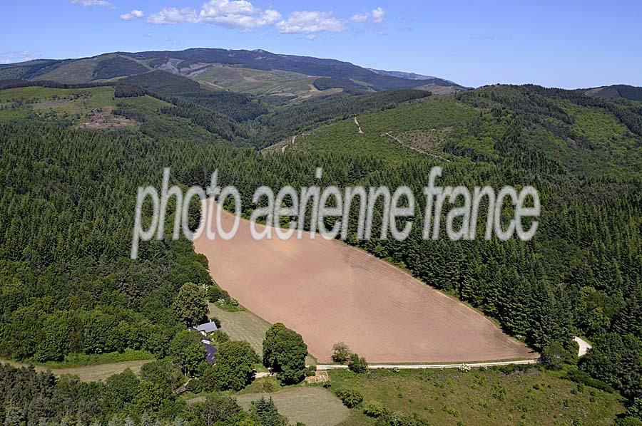 30foret-mont-aigoual-2-0713