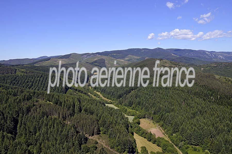 30foret-mont-aigoual-6-0713