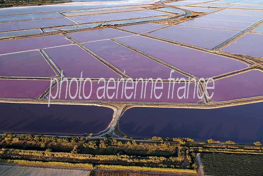 30salins-du-midi-25-0707