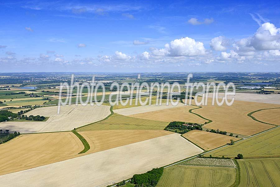 31agriculture-haute-garonne-1-0619