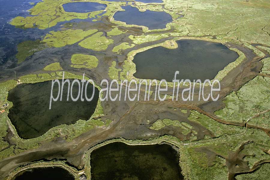 33bassin-d-arcachon-5-e03