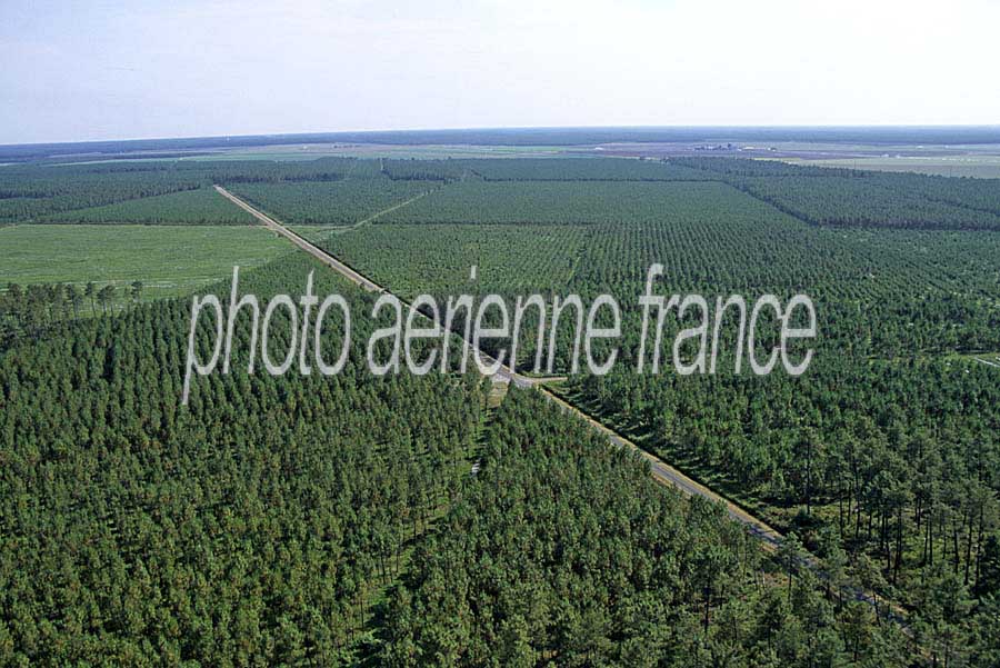 33foret-des-landes-2-e02