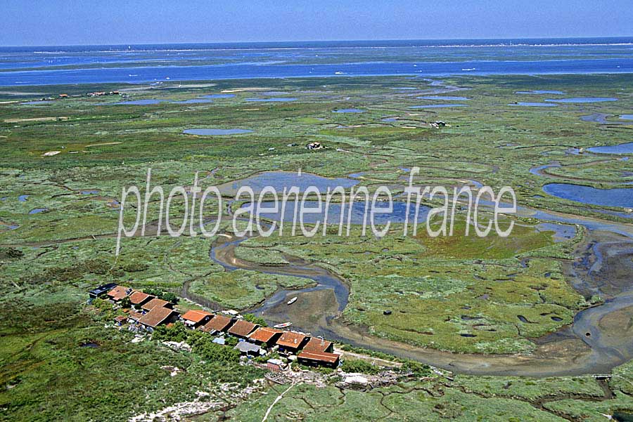 33ile-aux-oiseaux-10-e00