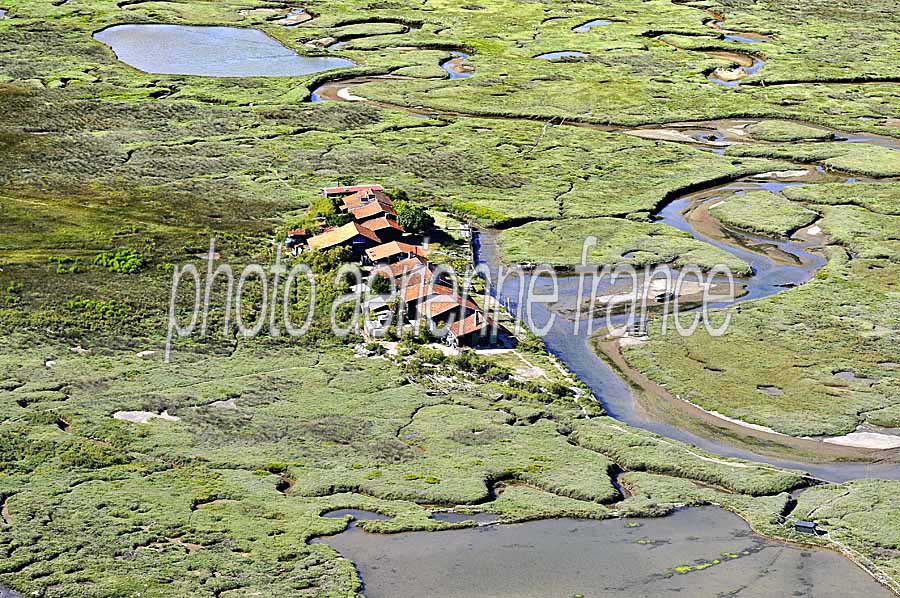 33ile-aux-oiseaux-2-0708