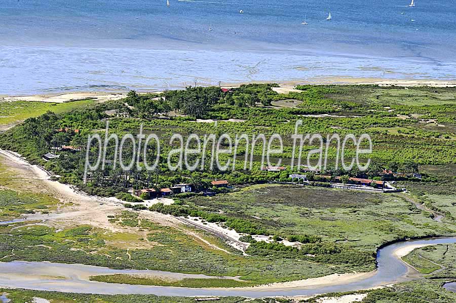 33ile-aux-oiseaux-5-0708