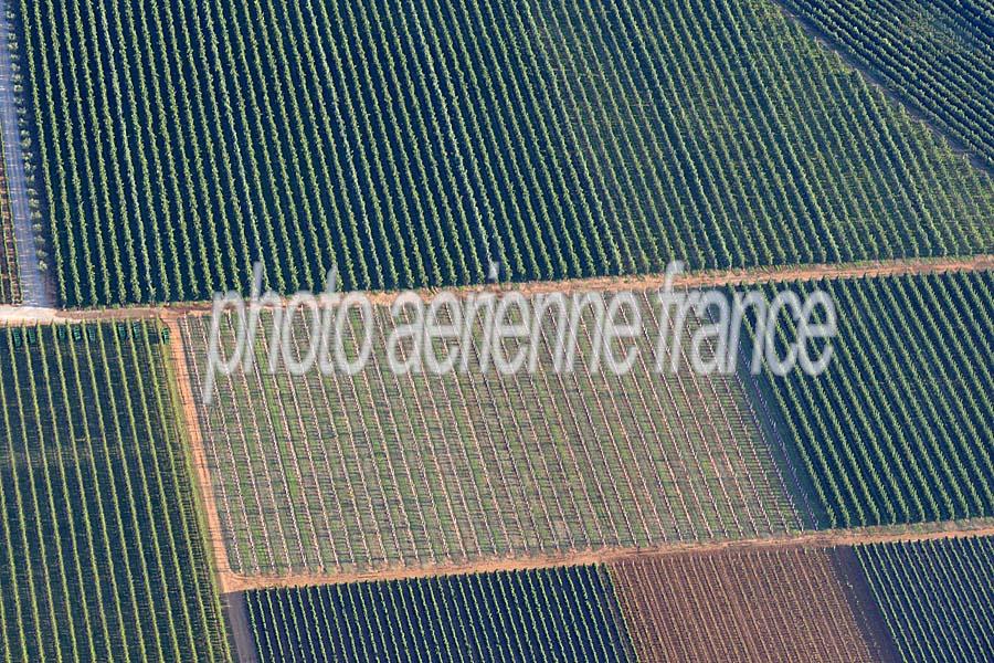 34agriculture-herault-10-0717