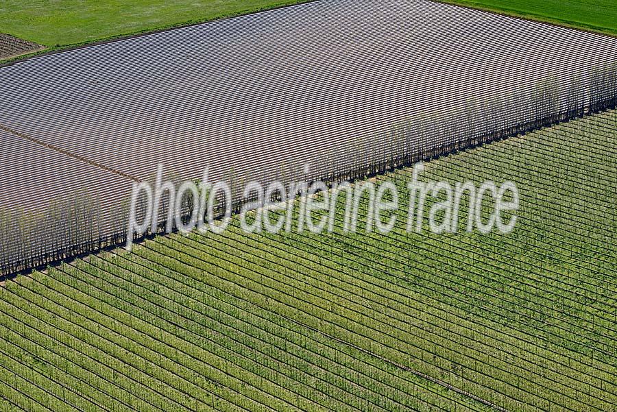 34agriculture-herault-4-0416