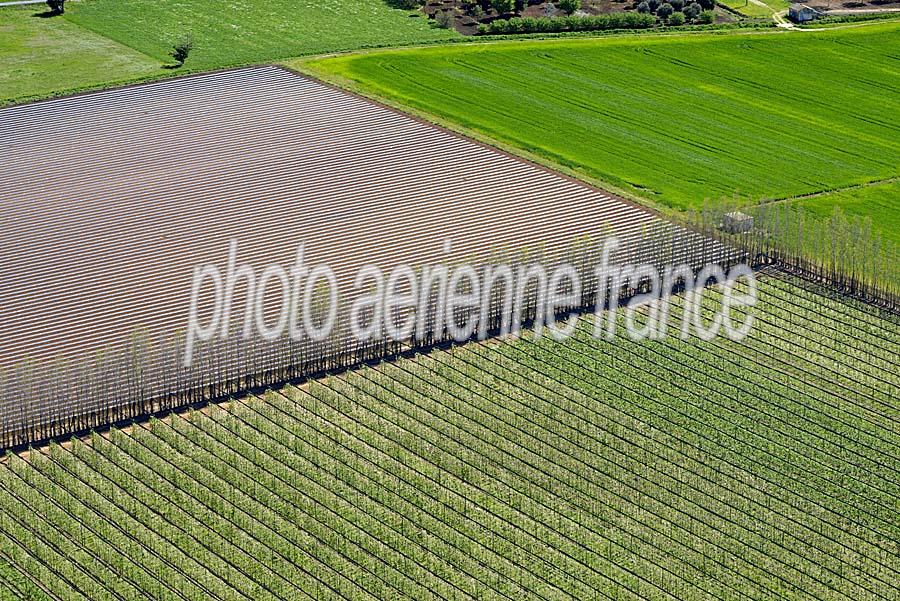 34agriculture-herault-5-0416