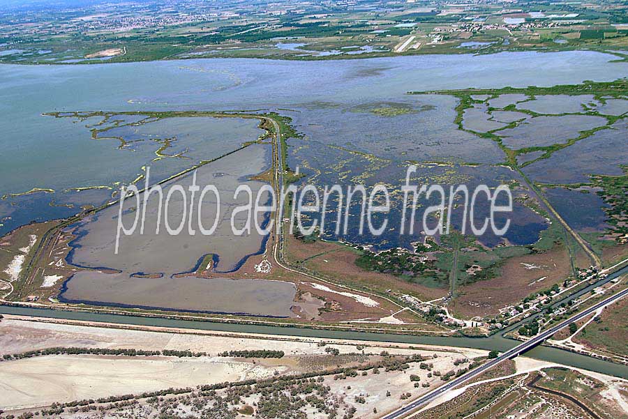 34etang-mauguio-10-0604