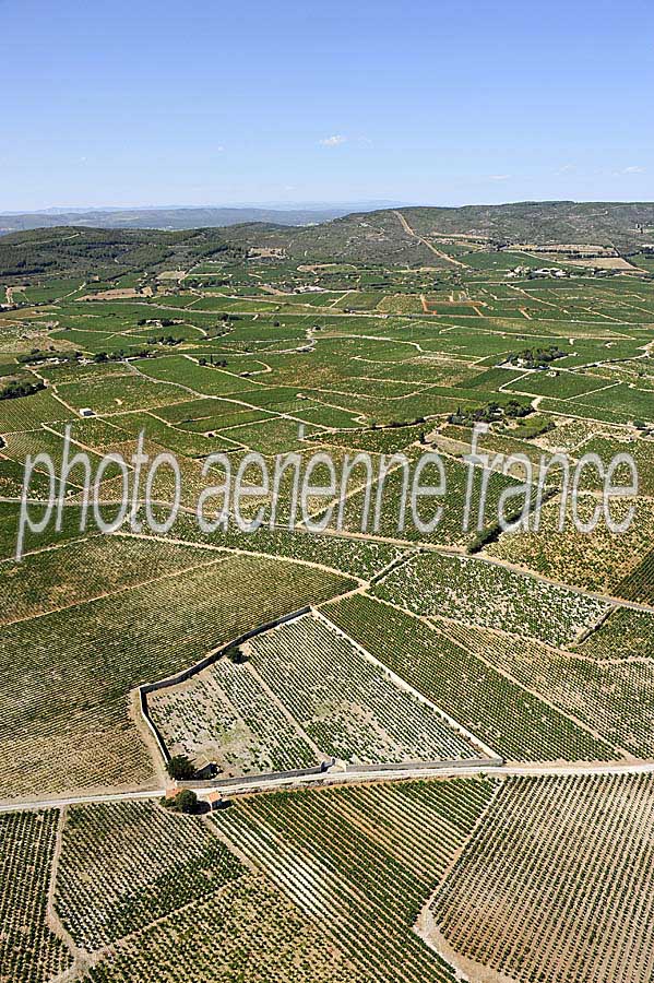 34frontignan-vignoble-4-0712