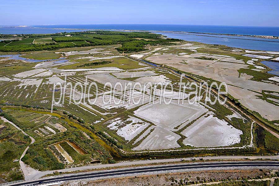 34salines-frontignan-1-0908