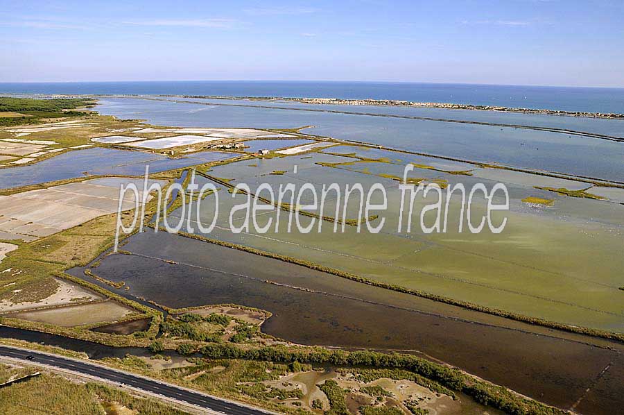 34salines-frontignan-2-0908