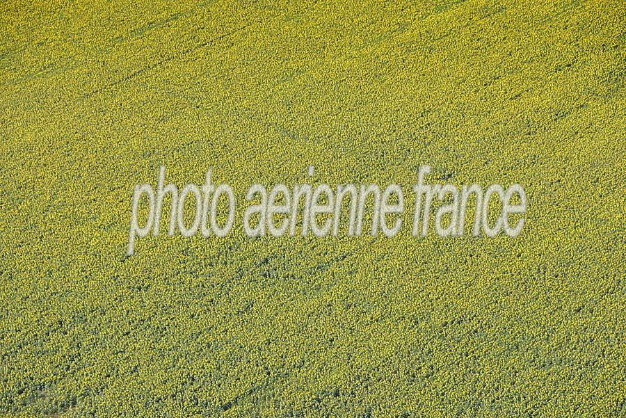 37agriculture-indre-et-loire-12-0720