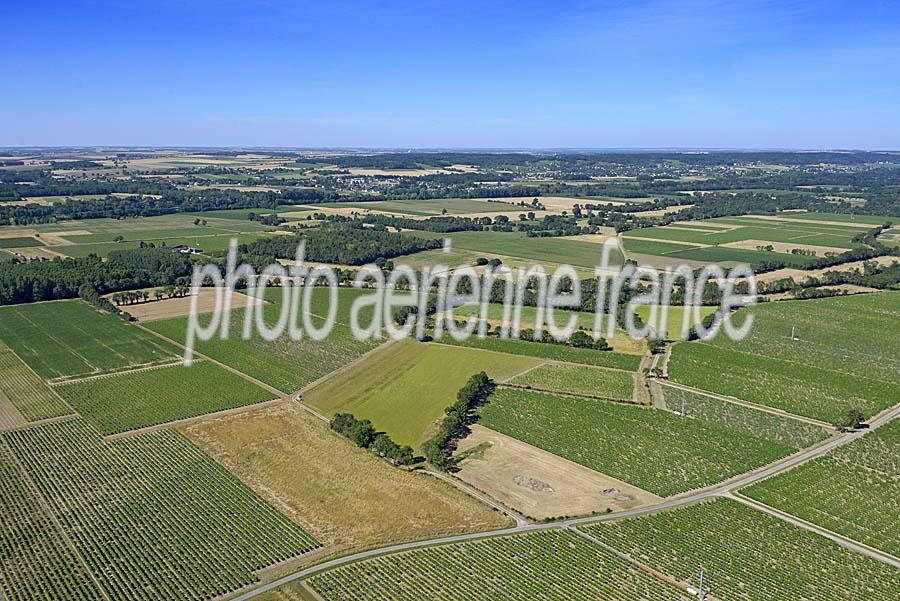 37agriculture-indre-et-loire-19-0720