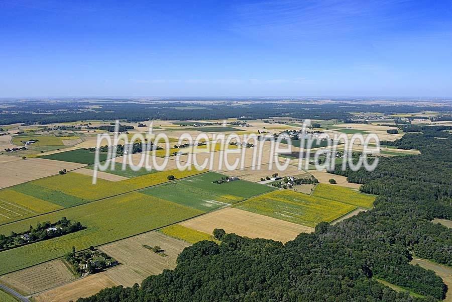 37agriculture-indre-et-loire-25-0720