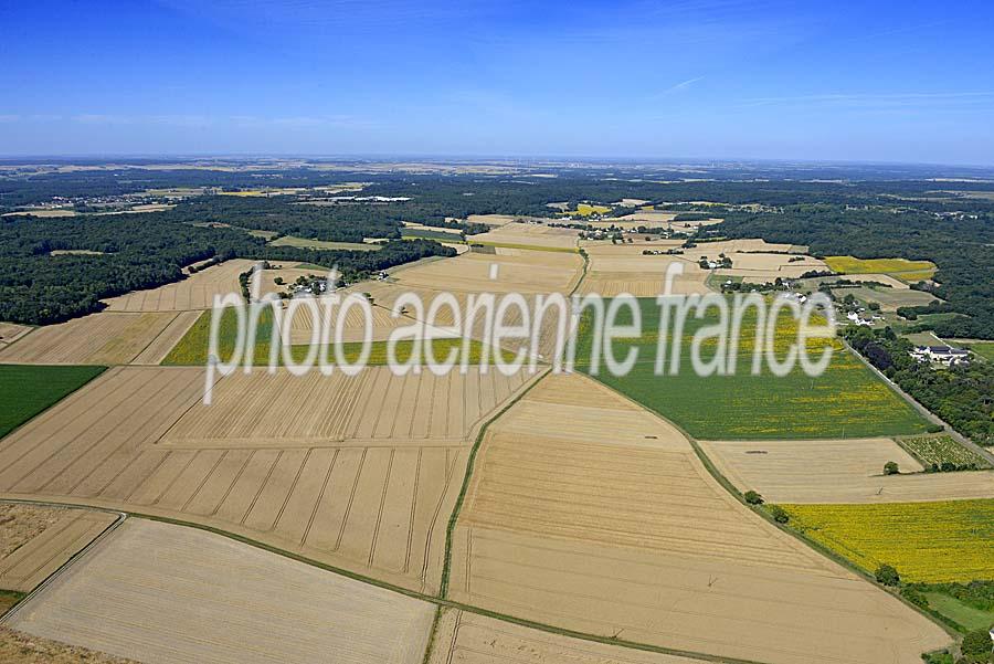 37agriculture-indre-et-loire-26-0720