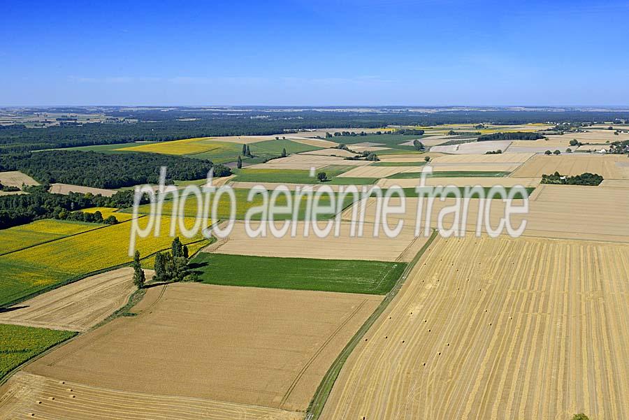 37agriculture-indre-et-loire-31-0720