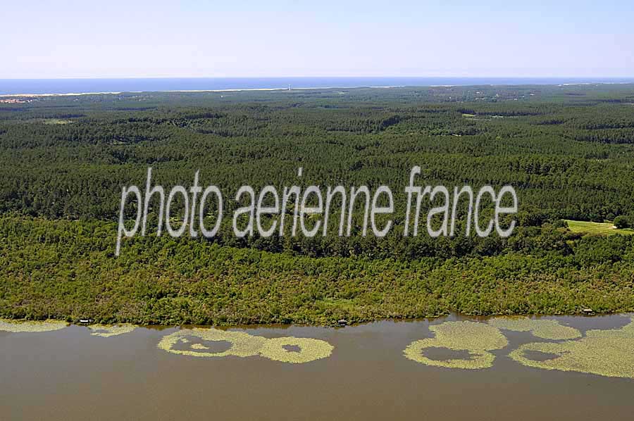 40etang-landes-11-0708