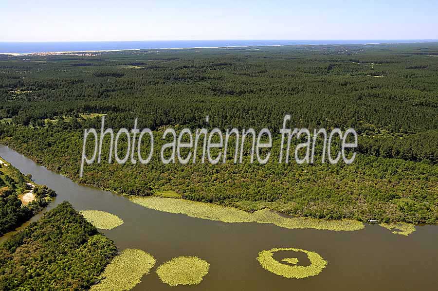 40etang-landes-13-0708