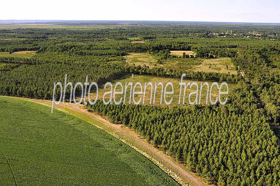 40foret-des-landes-13-0708