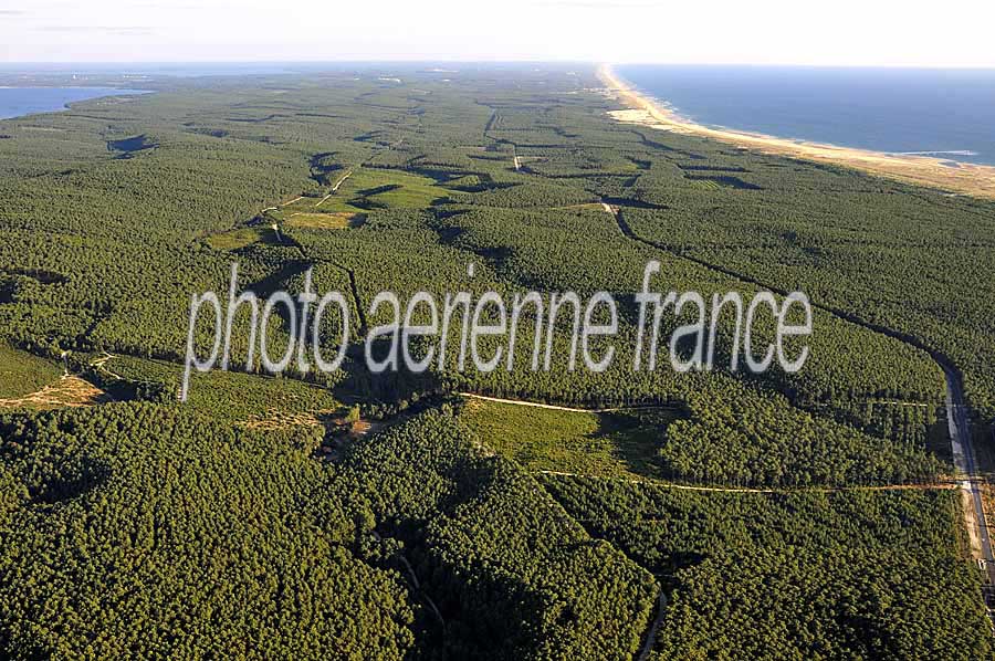 40foret-des-landes-16-0708